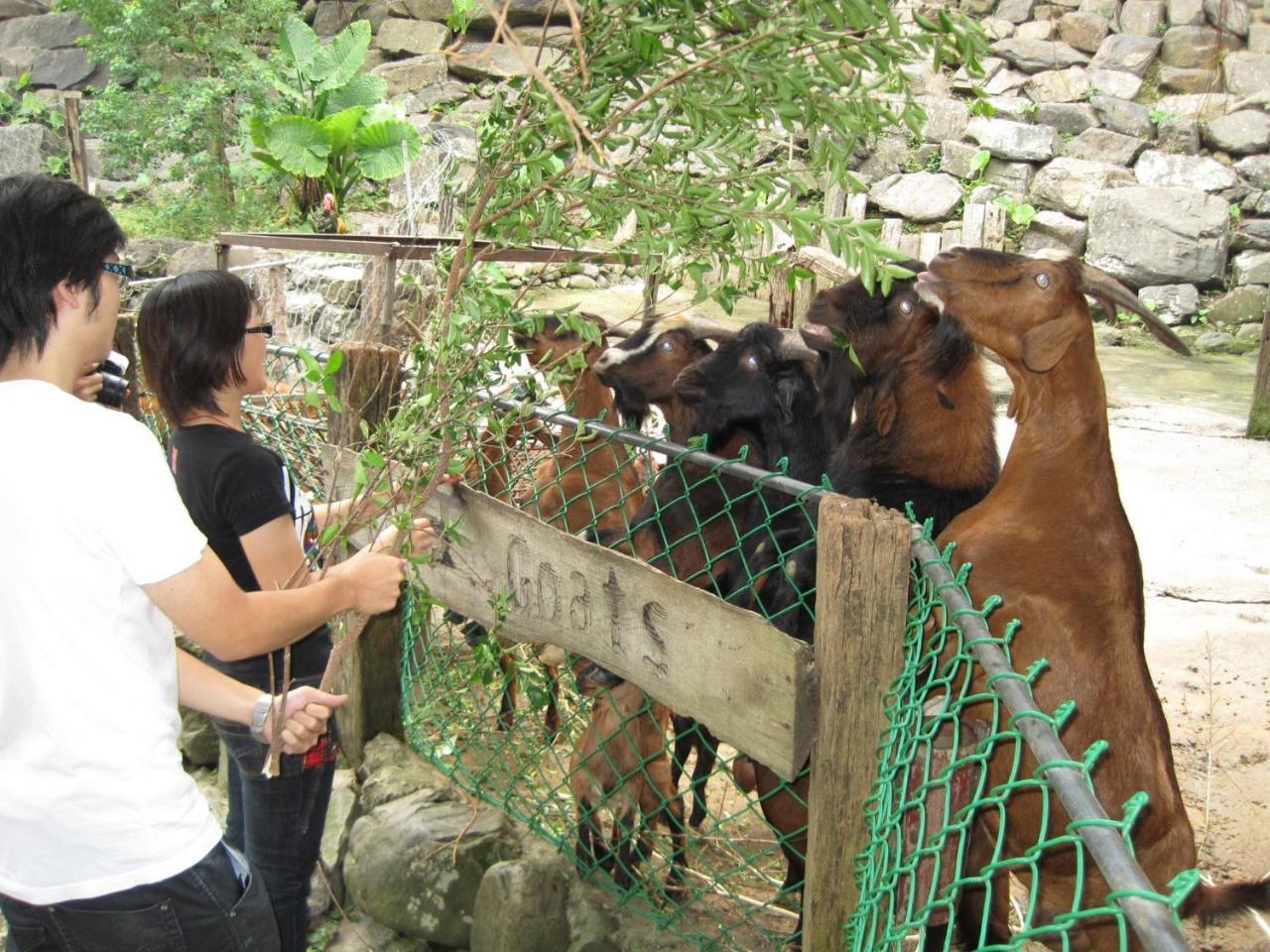 Tou-Cheng Leisure Farm Hotel Toucheng Exterior foto